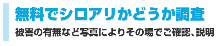 まずは無料でシロアリかどうか調査被害の有無など写真によりその場でご確認、説明