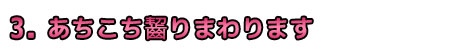 あちこち齧りまわります