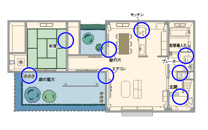 ねずみの侵入箇所の例