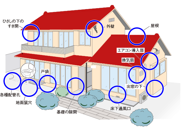 ねずみの侵入経路 ねずみ駆除 ねずみ防除のことならサンキョーへ