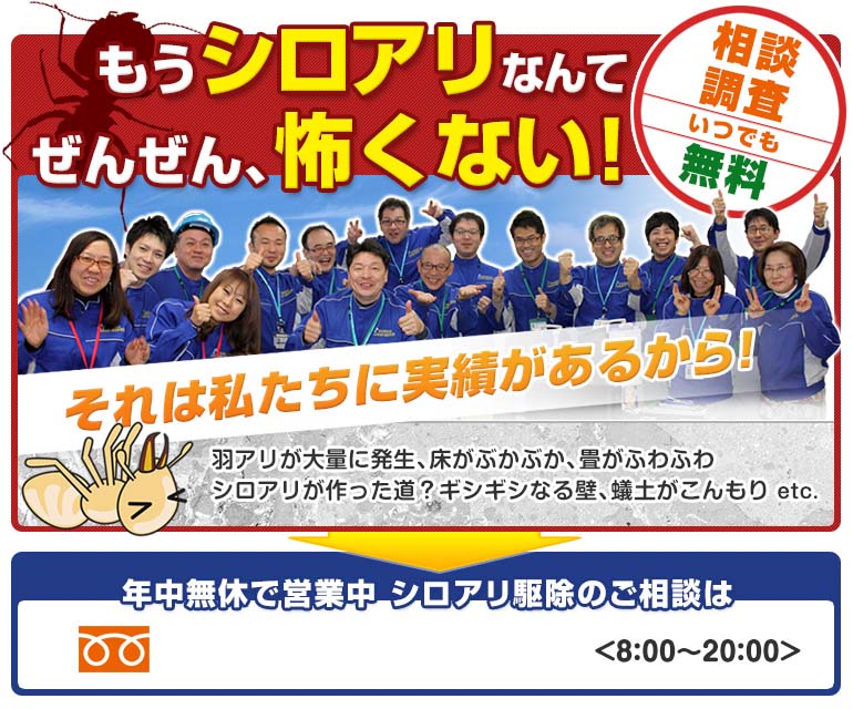 もうシロアリなんて、ぜんぜん怖くない!ご相談は0120-30-6418