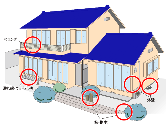 シロアリの生息場所の例