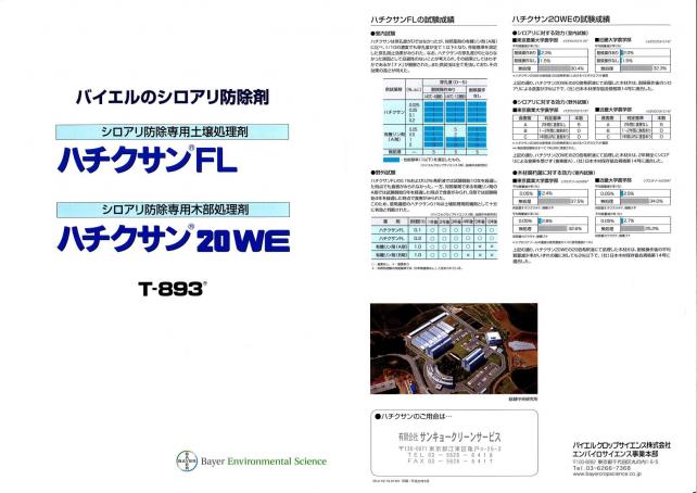 ハチクサン　表　縮小