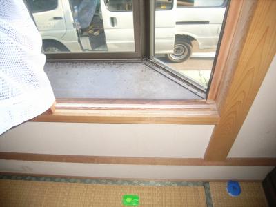 　和室の出窓に発生したハネアリ　