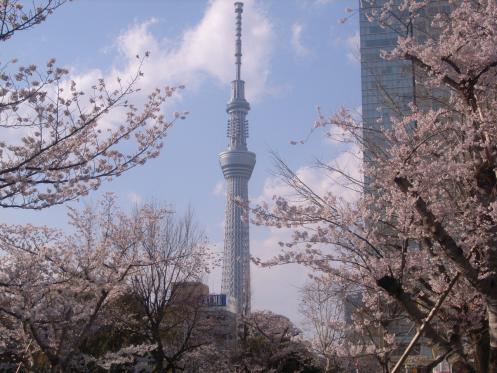 錦糸公園からのスカイツリー