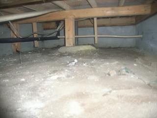 床下と床板のカビ1