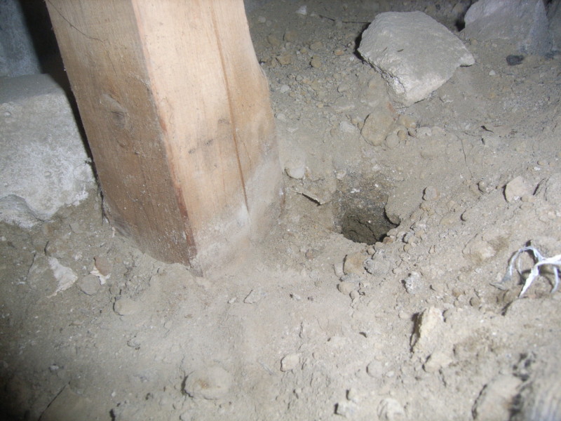 床下に掘られた鼠穴の中に巣がありました サンキョークリーンサービス