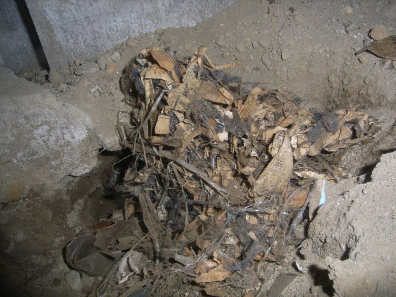 床下に掘られた鼠穴の中に巣がありました サンキョークリーンサービス