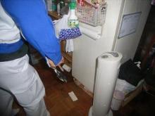 サンキョースタッフのブログ-冷蔵庫の裏にネズミが逃げ込む