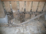 玄関上り框の土止め板の被害