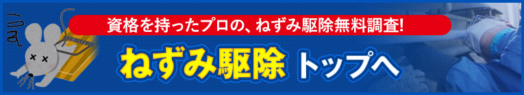 ねずみの侵入経路 ねずみ駆除 ねずみ防除のことならサンキョーへ