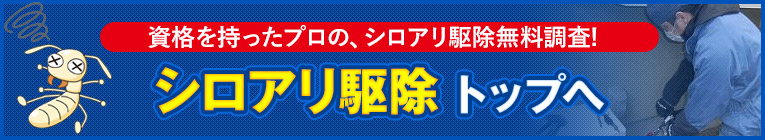 資格を持ったプロの、シロアリ駆除無料調査！シロアリ駆除トップへ