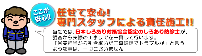 お得なシロアリ駆除キャンペーン