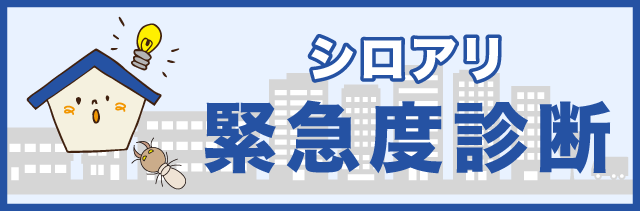 シロアリ緊急度診断