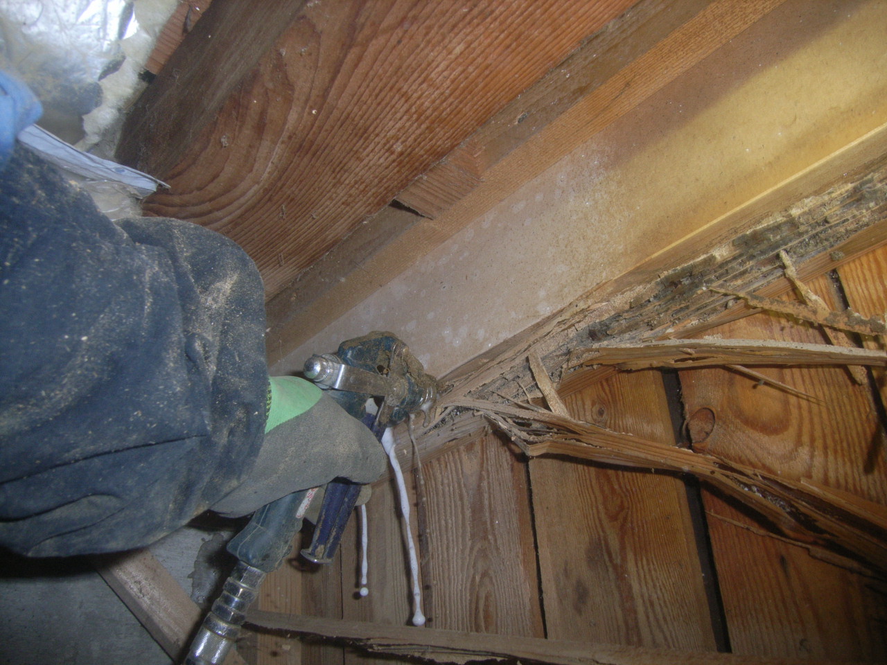 床下ではボロボロの玄関框