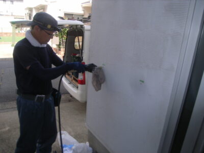 羽アリの発生した玄関横の納戸