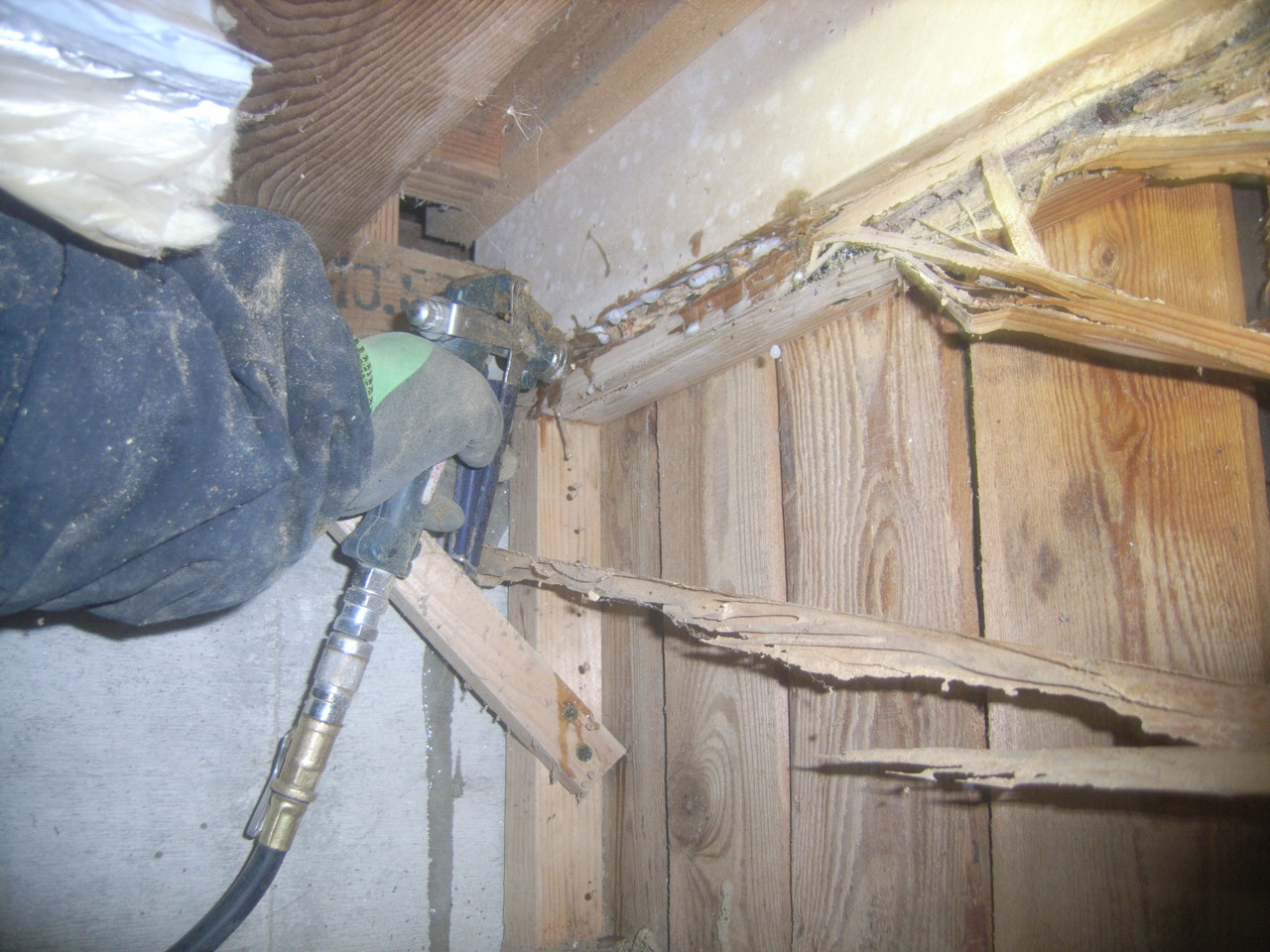 被害箇所へ念入りな薬剤処理