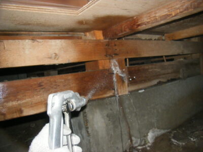 蟻道を破壊した後にシロアリ駆除剤を吹き付けます