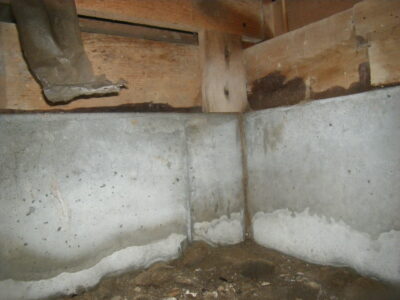 シロアリ被害の直下には蟻道があります